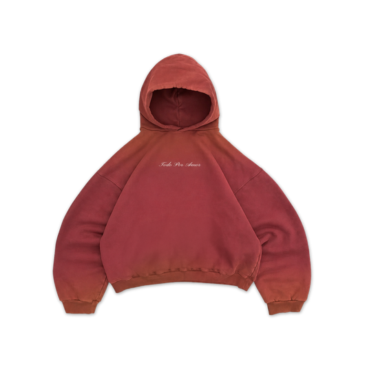 Todo Por Amor Hoodie
